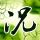 致命id