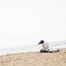 白鹭